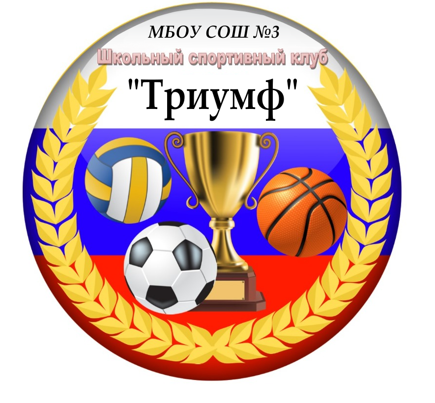 Школьный спортивный клуб "Триумф".